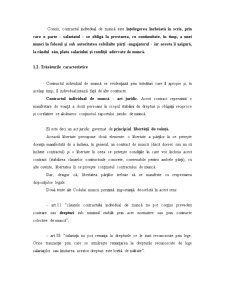Contract Individual de Muncă - Pagina 3