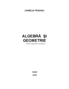 Algebră și Geometrie pentru Inginerie Economica - Pagina 1