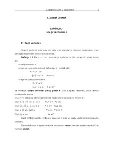Algebră și Geometrie pentru Inginerie Economica - Pagina 2
