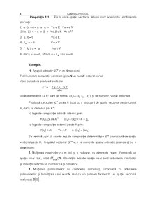 Algebră și Geometrie pentru Inginerie Economica - Pagina 3