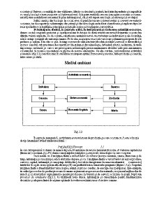 Management - teorie și aplicații - Pagina 3