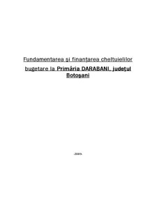 Fundamentarea și finanțarea cheltuielilor bugetare la Primăria Orașului Dărăbani - Pagina 1