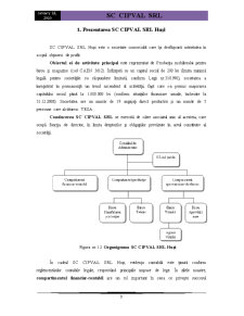 Sistemul de Control Intern al SC Cipval SRL Huso - Pagina 3