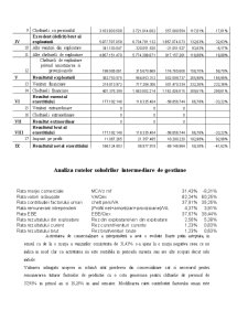 Analiza economico-financiară - SNCFR Marfă - Pagina 5