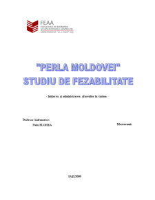Perla Moldovei - studiu de fezabilitate - Pagina 1