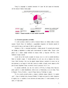Perla Moldovei - studiu de fezabilitate - Pagina 5