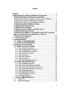 Analiza Financiar-Patrimoniala - SC G and G Logistic SRL - Pagina 2
