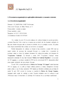 Analiza Sistemului de Trezorerie la SC Rasodia Conf SRL - Pagina 2