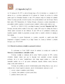 Analiza Sistemului de Trezorerie la SC Rasodia Conf SRL - Pagina 3