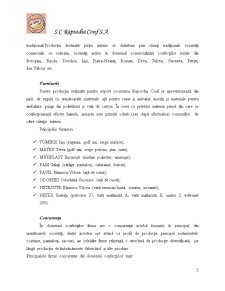 Analiza Sistemului de Trezorerie la SC Rasodia Conf SRL - Pagina 5