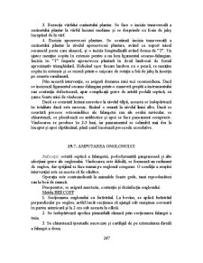 Propedeutică Chirurgicală - Pagina 381