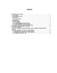Osciloscopul Catodic - Pagina 1