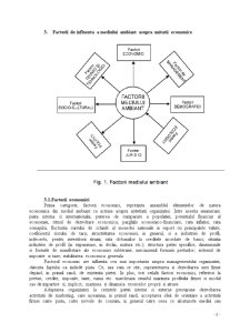 Organizația și mediul său ambiant- teorie și studiu de caz - Pagina 2