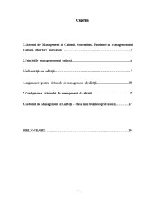 Eficacitatea și Eficiența unui Sistem de Management al Calității - Pagina 2
