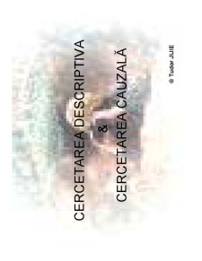Cercetarea de Marketing - Pagina 22