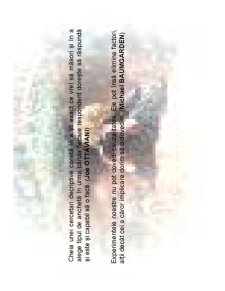 Cercetarea de Marketing - Pagina 24