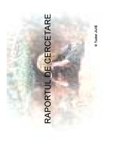 Cercetarea de Marketing - Pagina 119