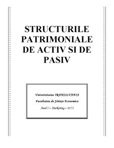 Structurile Patrimoniale de Activ și de Pasiv - Pagina 1