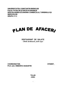 Plan de Afacere - Pagina 1