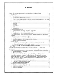 Gestiunea financiară a institutiiilor publice - studiu monografic realizat la Primăria Sendriceni - Pagina 2