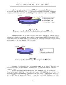 Impactul IMM-urilor în economia românească - Pagina 4