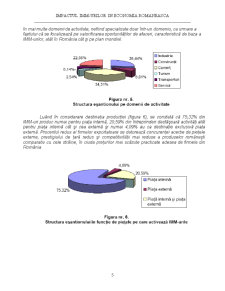 Impactul IMM-urilor în economia românească - Pagina 5