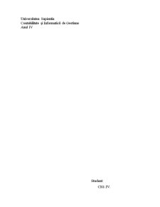Analiza economico financiară a SC Folk-Text SRL - Pagina 1
