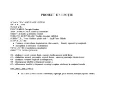 Proiect de lecție - limba și literatura română - Pagina 1