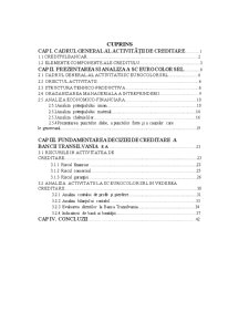 Analiza economico-financiară în fundamentarea deciziei de creditare - SC Eurocolor SA - Pagina 1