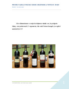 Dimensionarea unei secții de obținere a vinului sec - Pagina 1