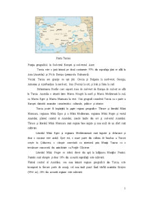 Raport de Țară Turcia - Pagina 3