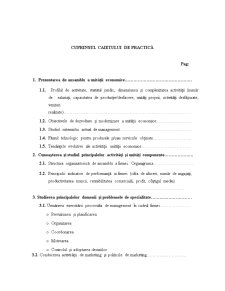 Caiet de practică la Unicredit Țiriac Bank - Pagina 1