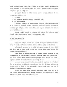 Comunicarea Nonverbala în Negociere - Pagina 2