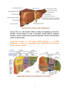Patologie hepatică - Pagina 5