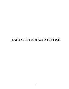 Capitalul Fix și Activele Fixe - Pagina 1