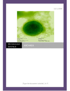 Archaea - Pagina 1
