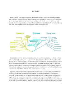 Archaea - Pagina 2
