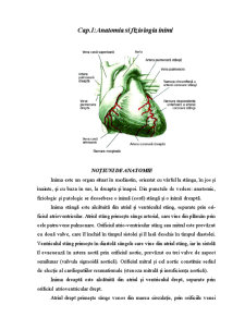 Infarctul Miocardic Acut - Pagina 3
