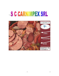 Proiecte Economice - SC Carnimpex SRL - Pagina 3