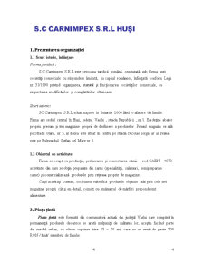 Proiecte Economice - SC Carnimpex SRL - Pagina 4