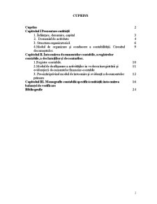 Lucrare sinteză - practică SC BCR Asigurări SA - Pagina 2