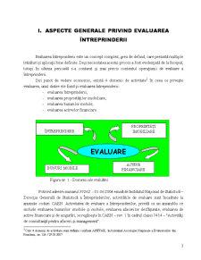 Necesitatea și conținutul evaluării întreprinderii - Pagina 3