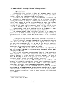 Monografie bancară BRD Iași 2009 - Pagina 3