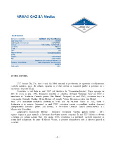 Fundamentarea deciziei de investiție în cazul societății Armax Gaz Mediaș - Pagina 2
