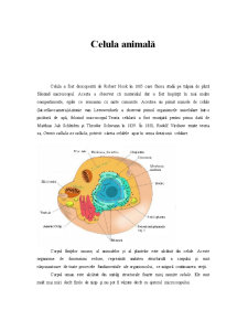 Celula Animală - Pagina 1