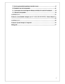 Determinarea punctelor forte și a punctelor slabe ale întreprinderii pe baza evaluării caracteristicilor strategice - Pagina 2