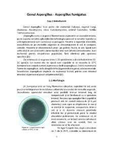 Microbiologia Produselor Alimentare - Genul Aspergillus - Pagina 3
