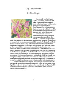 Microbiologia Produselor Alimentare - Lactobacilii - Pagina 3