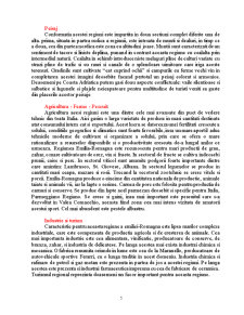 Aprovizionarea cu produse din carne și lactate pentru regiunea Emiglia-Romagna - Pagina 5