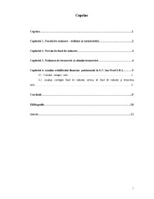 Indicatori de Echilibru Financiari Patrimonial - Pagina 1
